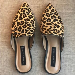 Steve Madden Leopard Mules